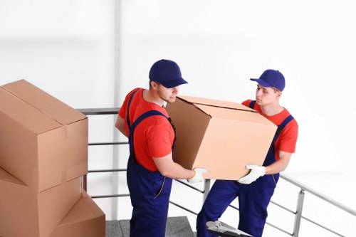 Customer service team reviewing a removals complaint document